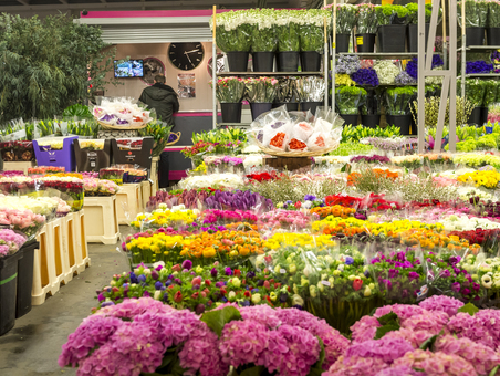 Les métiers du Marché International de Rungis