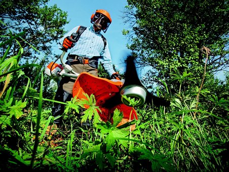 Se former aux métiers des espaces verts et des travaux publics