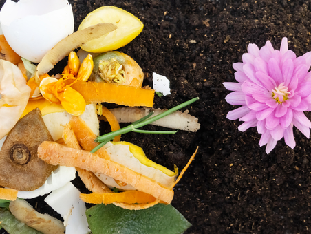 DM COMPOST vous présente le recyclage et la valorisation des biodéchets